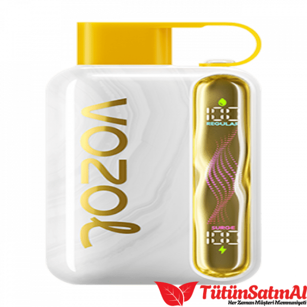 Vozol Star 40000 Melon Ice